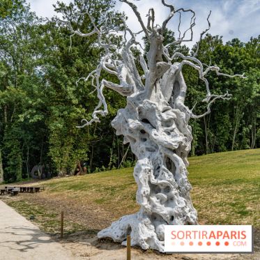 Perchoir Y, restaurant par Guillaume Sanchez et guinguette en forêt -  A7C5873