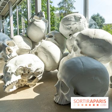 Exposition Ron Mueck à la Fondation Cartier 2023 -  A7C6358