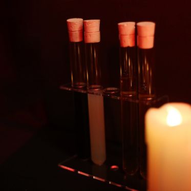 L'expérience immersive Wolf Gang - 33