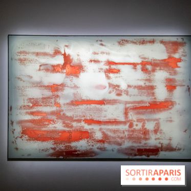 Expositions d'été au Palais de Tokyo Laura Lamiel