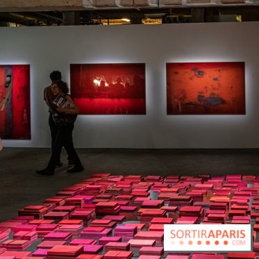 Expositions d'été au Palais de Tokyo Laura Lamiel