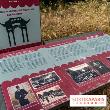 Jardin d'Agronomie Tropicale, le jardin exotique à Paris -  A7C6803