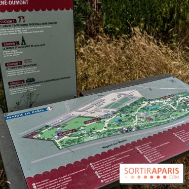 Jardin d'Agronomie Tropicale, le jardin exotique à Paris -  A7C6804