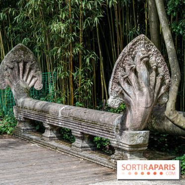 Jardin d'Agronomie Tropicale, le jardin exotique à Paris -  A7C6812