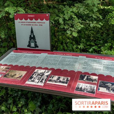 Jardin d'Agronomie Tropicale, le jardin exotique à Paris -  A7C6814