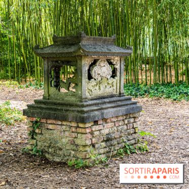 Jardin d'Agronomie Tropicale, le jardin exotique à Paris -  A7C6815