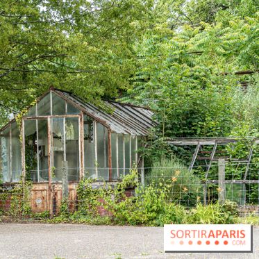 Jardin d'Agronomie Tropicale, le jardin exotique à Paris
