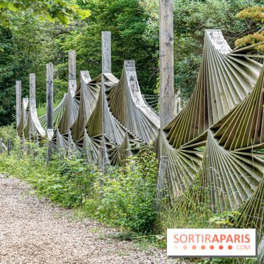 Jardin d'Agronomie Tropicale, le jardin exotique à Paris -  A7C6860