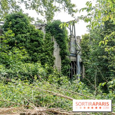 Jardin d'Agronomie Tropicale, le jardin exotique à Paris