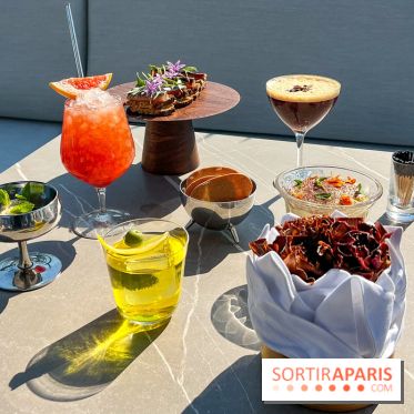 Le Bar Les Ombres  - image00013