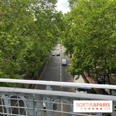 Petite Ceinture du 12e - IMG 3449