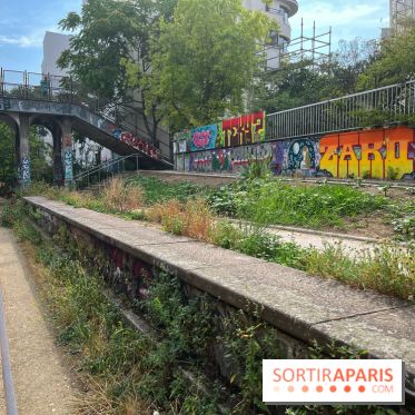 Petite Ceinture du 12e - IMG 3457