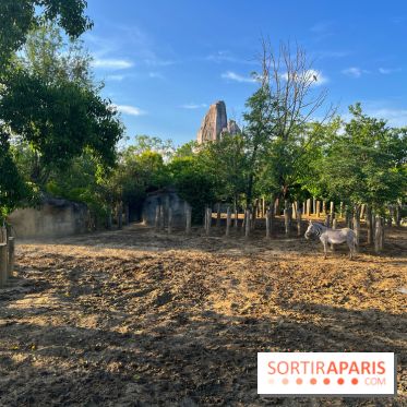 Nocturnes au Parc Zoologique de Paris - IMG 3495