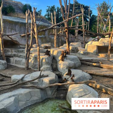 Nocturnes au Parc Zoologique de Paris