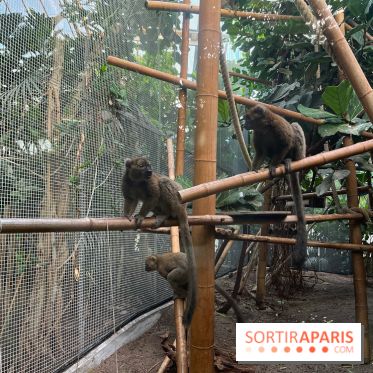 Nocturnes au Parc Zoologique de Paris - IMG 3544