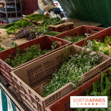Escapade au Marché, le cours de cuisine du Ritz
