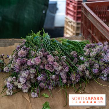 Escapade au Marché, le cours de cuisine du Ritz