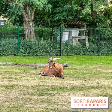 Base de loisirs de Saint-Quentin-en-Yvelines - Ile de loisirs de Trappes - activités