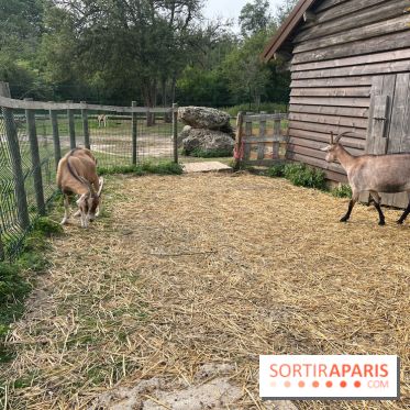 Base de loisirs de Saint-Quentin-en-Yvelines - Ile de loisirs de Trappes - activités