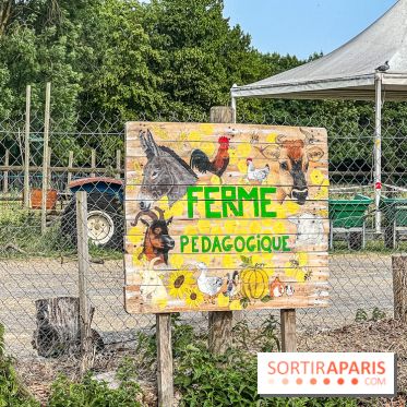 Base de loisirs de Saint-Quentin-en-Yvelines - Ile de loisirs de Trappes - activités - IMG 8646