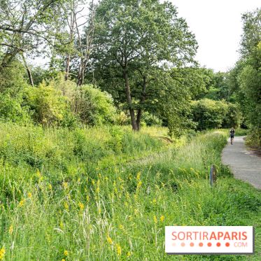 Base de loisirs de Saint-Quentin-en-Yvelines - Ile de loisirs de Trappes - activités