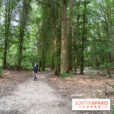 Base de loisirs de Saint-Quentin-en-Yvelines - Ile de loisirs de Trappes - activités -  A7C7367