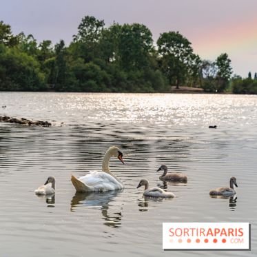 Base de loisirs de Saint-Quentin-en-Yvelines - Ile de loisirs de Trappes - activités - 295A94D4 9EFB 4FD4 9F1C 55C2E2224F4E