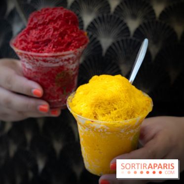 Granités-Neige de Jade Génin, l'Été Sous le Signe du Kakigori Réinventé -  A7C7556