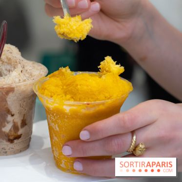 Granités-Neige de Jade Génin, l'Été Sous le Signe du Kakigori Réinventé -  A7C7575