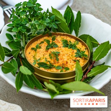 Riviera Paris, la terrasse - restaurant confidentiel dans les jardins d'Apicius -  A7C7712