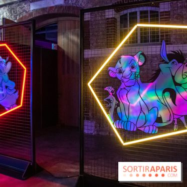 Disney 100 L'Amitié c'est Merveilleux