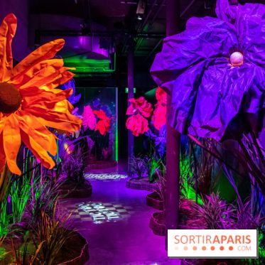 Disney 100 L'Amitié c'est Merveilleux -