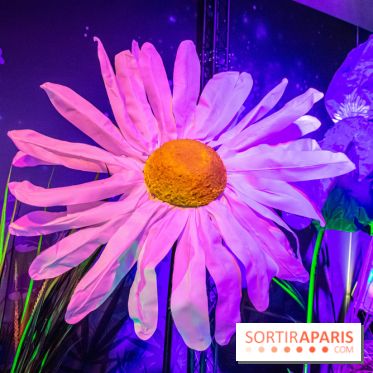 Disney 100 L'Amitié c'est Merveilleux