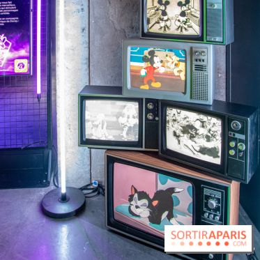 Disney 100 L'Amitié c'est Merveilleux