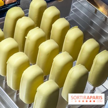 Le glacier Gérard Taurin à Paris - Meilleur Ouvrier de France