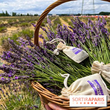 Fête de la Lavande sur le site Seine Aval Achères/Maisons-Laffitte - image00010