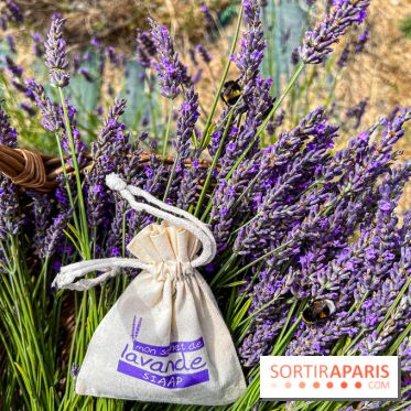 Fête de la Lavande sur le site Seine Aval Achères/Maisons-Laffitte - image00016