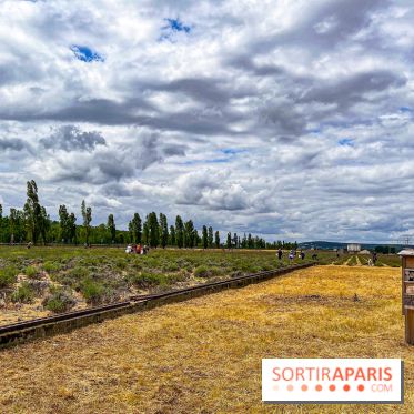 Fête de la Lavande sur le site Seine Aval Achères/Maisons-Laffitte - image00026