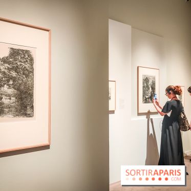 Graver la lumière, l'exposition qui met l'estampe à l'honneur, au musée Marmottan Monet - nos photos