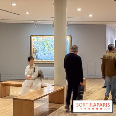 Le Musée Marmottan Monet à Paris et ses collections permanentes  - IMG 9074