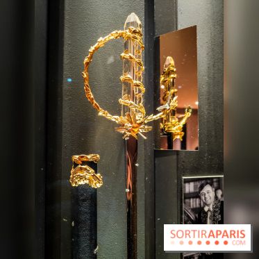 Le Musée Marmottan Monet à Paris et ses collections permanentes  - épée Académicien