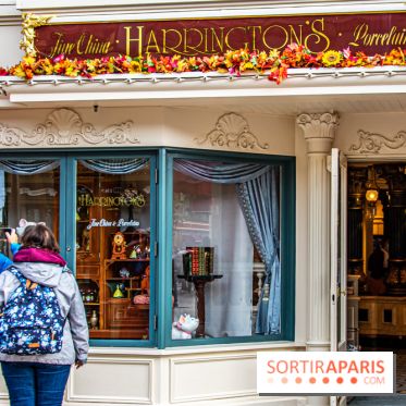 Disneyland Secrets visuels Harringtons