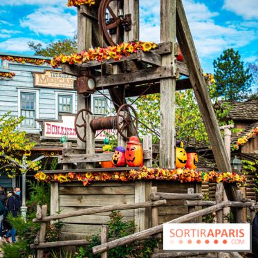 Disneyland Secrets visuels Frontierland