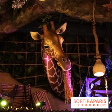 Disneyland Secrets visuels la girafe curieuse