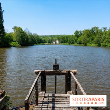 Balade nature dans la forêt de Montmorency, nos photos