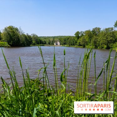 Balade nature dans la forêt de Montmorency, nos photos