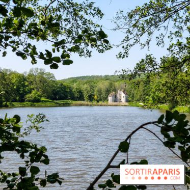 Balade nature dans la forêt de Montmorency, nos photos