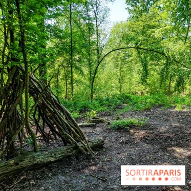 Balade nature dans la forêt de Montmorency, nos photos