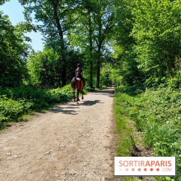 Balade nature dans la forêt de Montmorency, nos photos