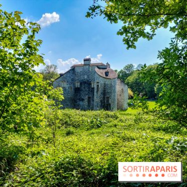 Balade nature dans la forêt de Montmorency, nos photos